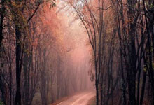 宁波游戏大厅有哪些独特魅力？