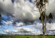 巴黎FC对阵卡昂谁能更胜一筹？