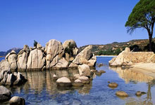 搜狐国际足球报道为何能成为球迷的掌中宝？